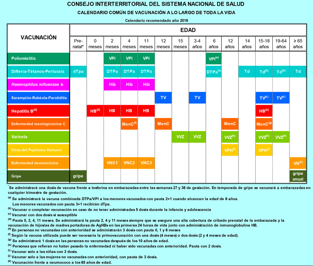 calendario vacunacion 2019