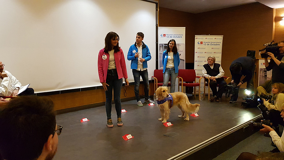 terapia con perros para tratar el alcoholismo