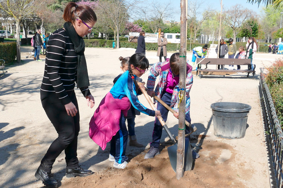 dia del arbol en mostoles