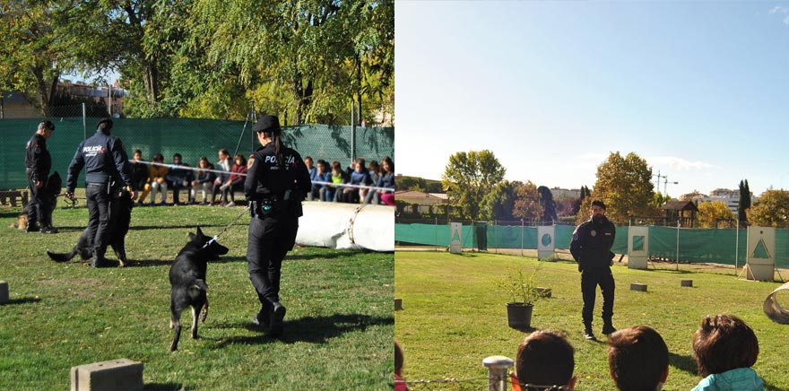 perros policia local mostoles