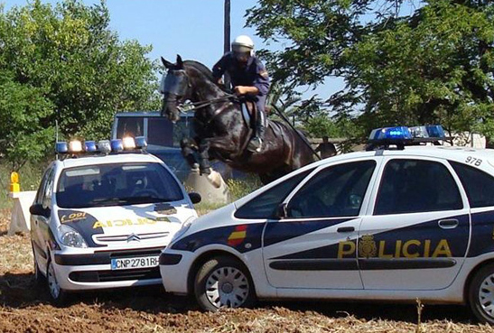 exhibicion policia nacional a caballo