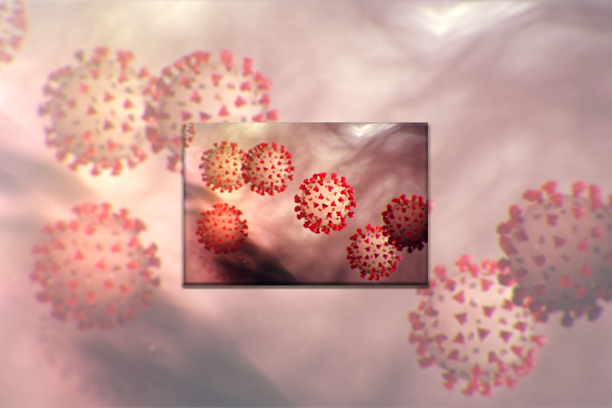 Fuente: National Foundation for Infectious Diseases