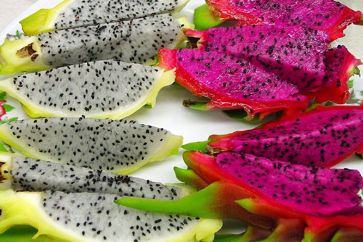 Pitaya Pitaya