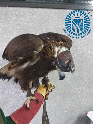 Imagen de la Policía Local