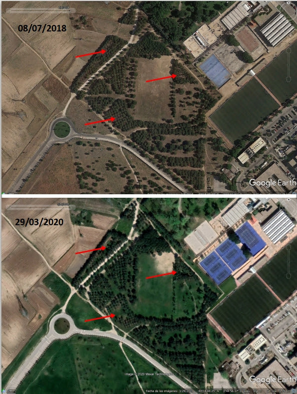 Parque de la Alh&oacute;ndiga Sector III