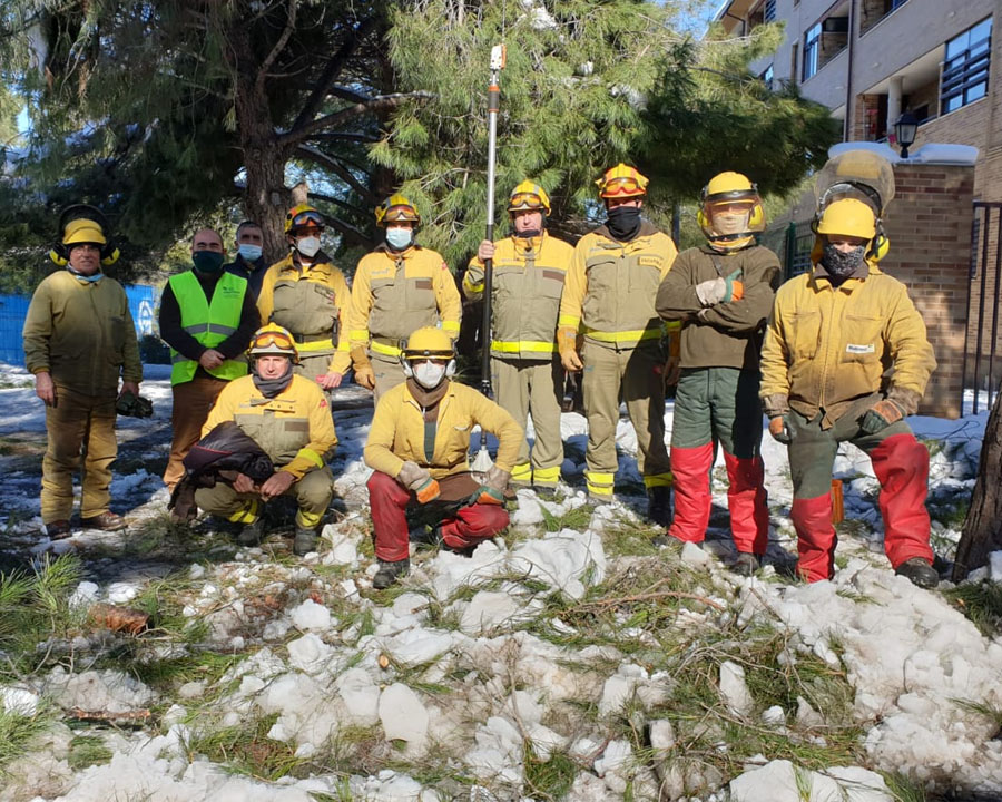Brigada Forestal en Aranjuez