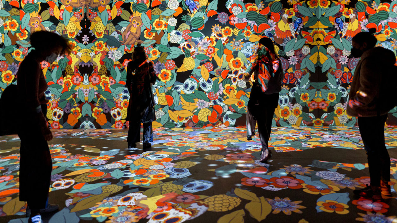 MAD: Proyecciones Proyecciones