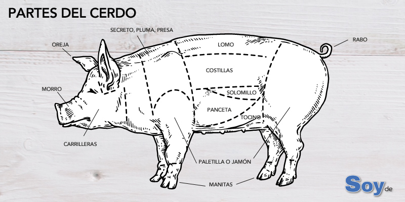 despiece cerdo despiece cerdo