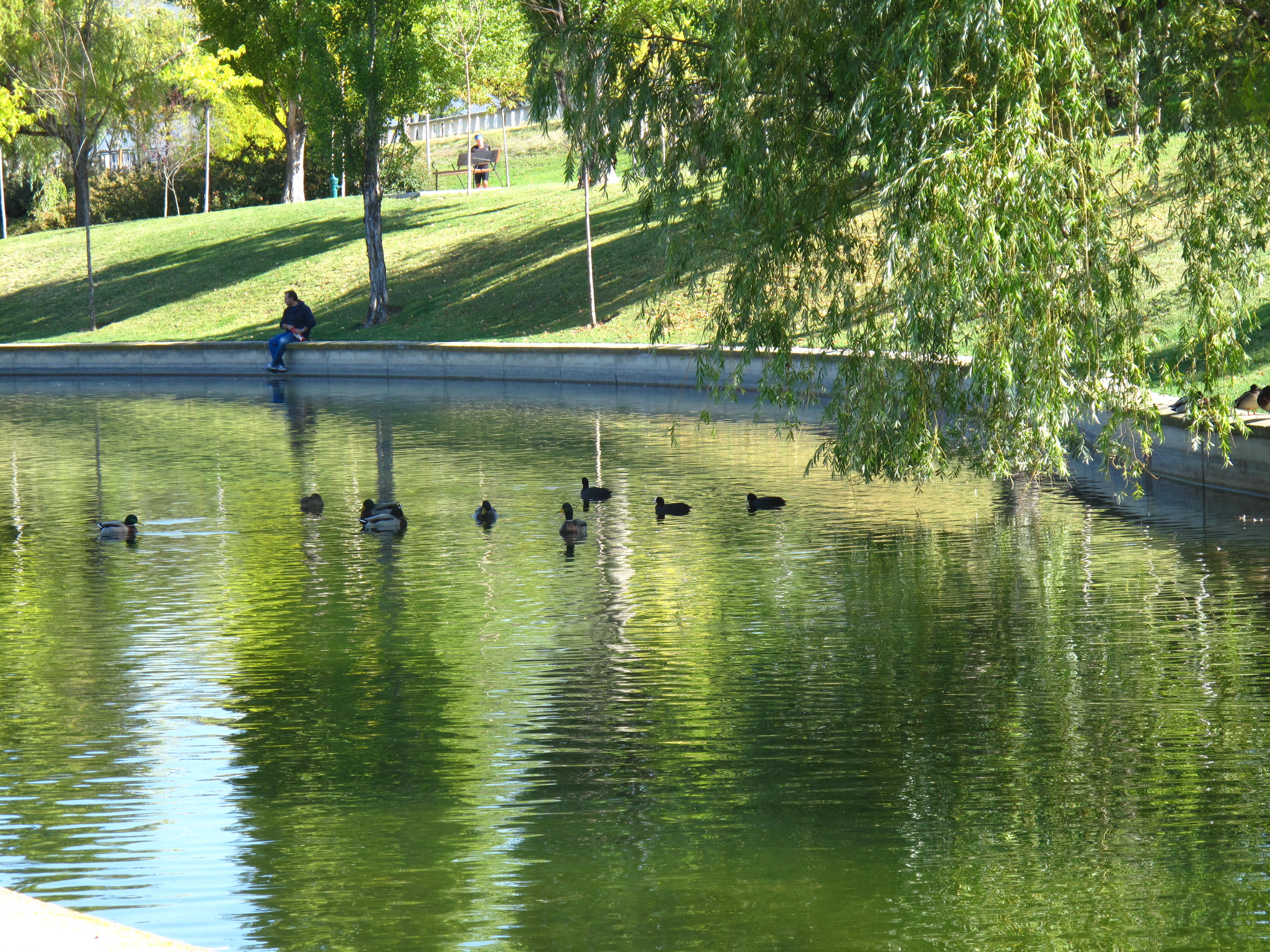 Parque central, lugar favorito de Jesús Moreno Parque central, lugar favorito de Jesús Moreno