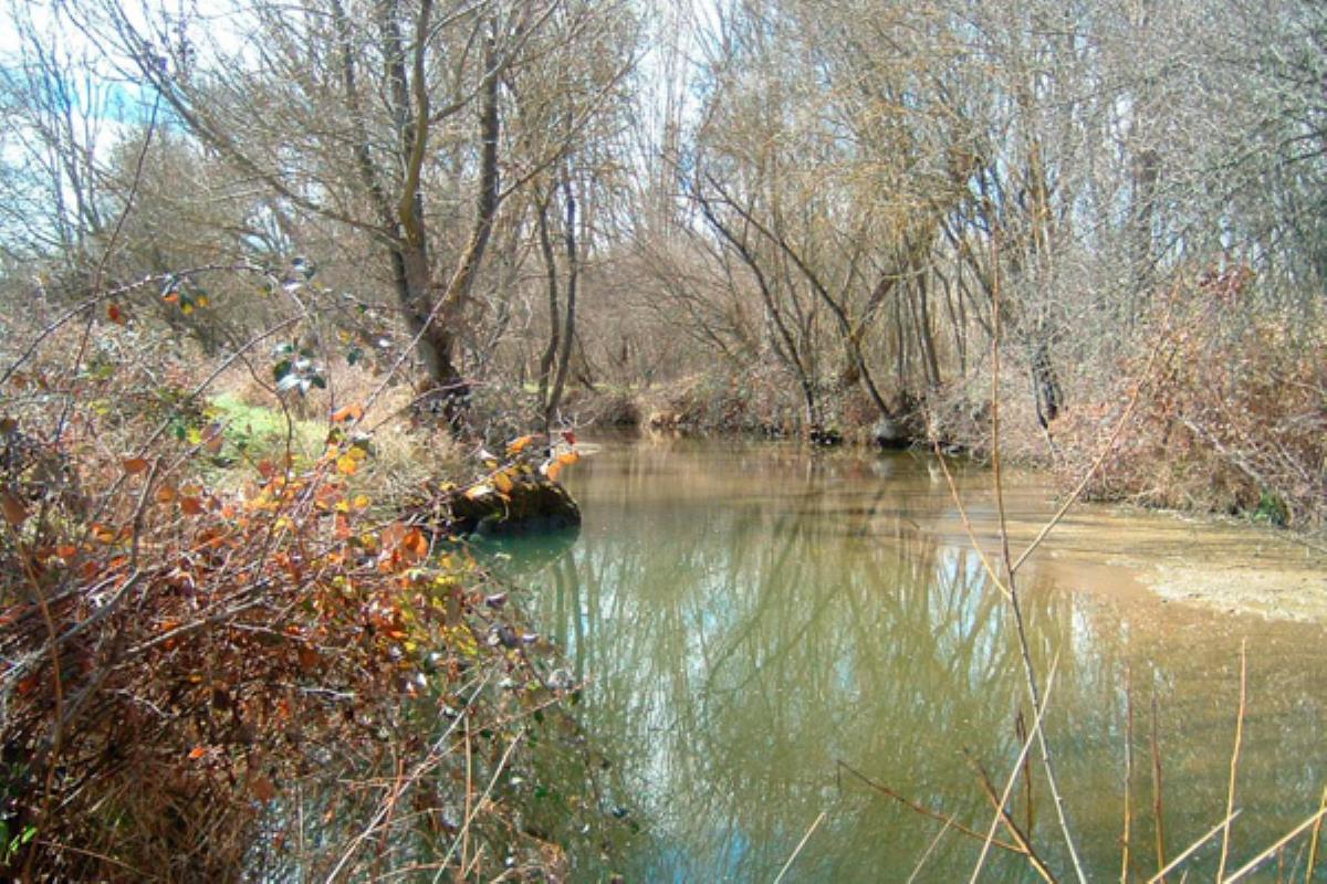 Tendrá lugar el sábado 14 de diciembre, de 10:00 a 13:00 horas, y es necesaria la inscripción previa