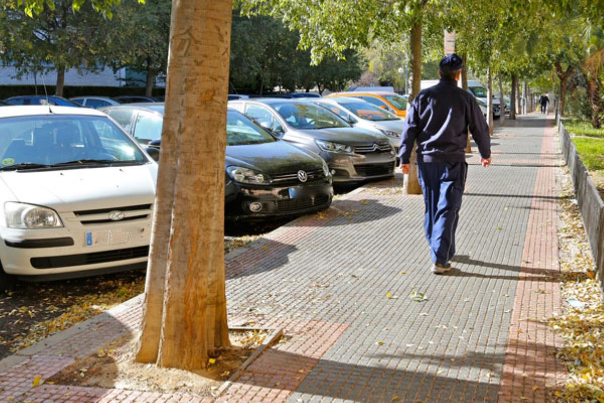 El objetivo a medio plazo, según el consistorio, que no haya un alcorque vacío en la ciudad