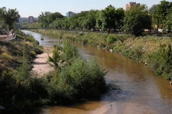 Lee toda la noticia '‘Salvemos el Manzanares’: veinticinco entidades y un fin'