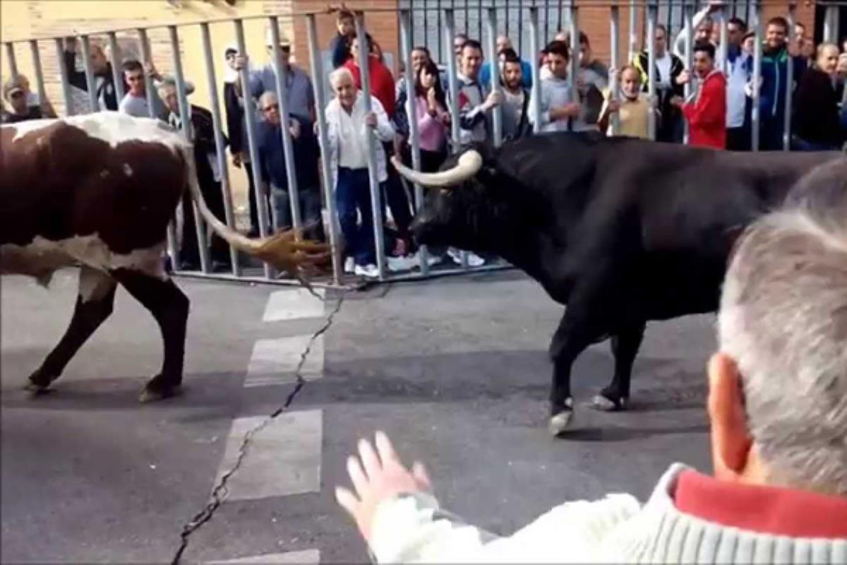 El Ayuntamiento de Fuenlabrada asegura que no se ha vulnerado ninguno de los artículos mencionados por Equo Fuenlabrada
