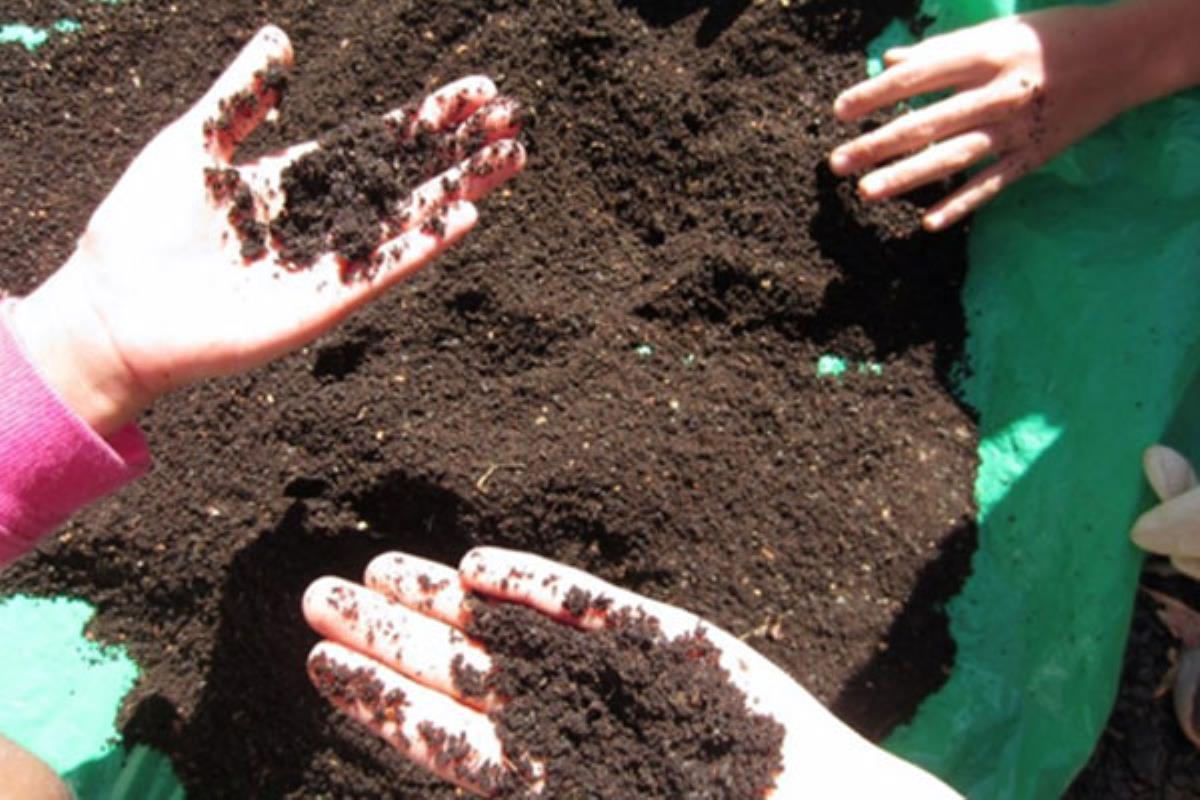 La iniciativa responde a exigencias europeas de reciclaje para 2020