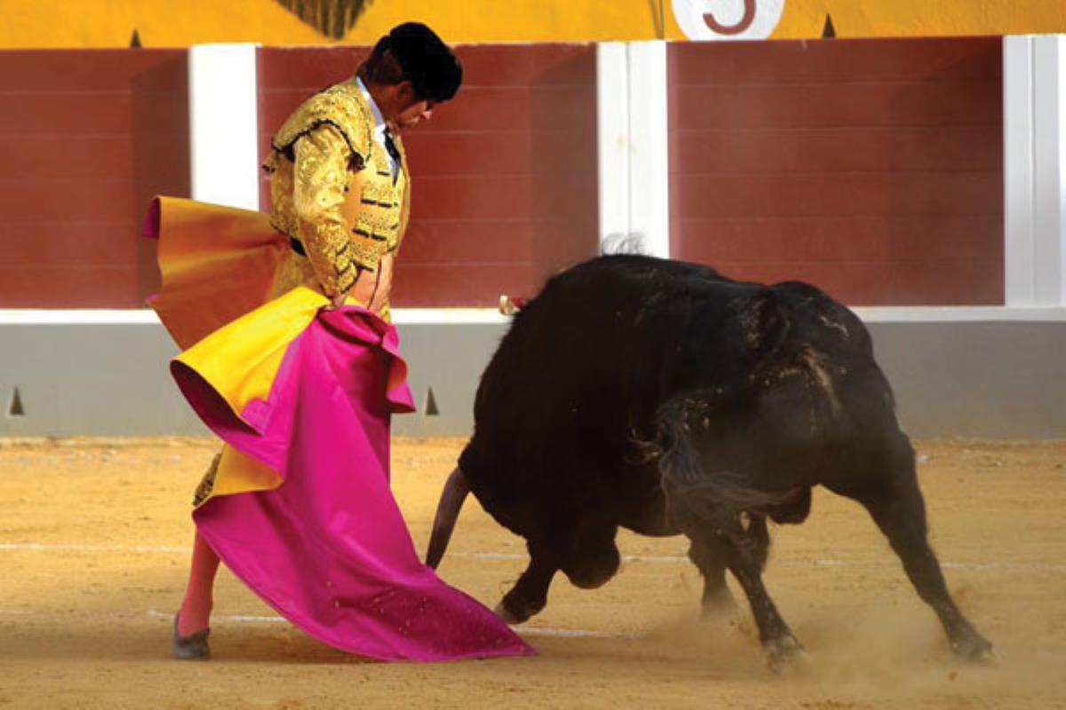 Bajo este lema, las peñas taurinas de Fuenlabrada han convocado una manifestación a favor de los toros para este domingo
