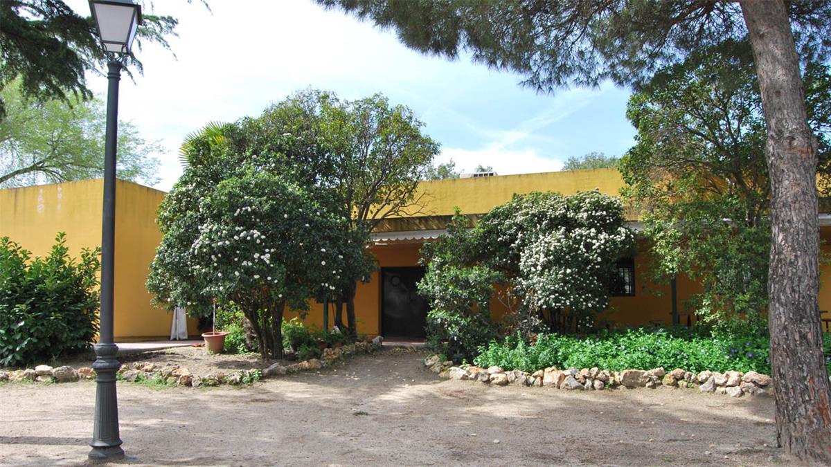 Se realizarán un total de once talleres y actividades gratuitas