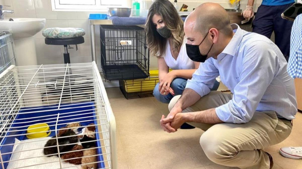 El Ayuntamiento invierte cerca de 574.000 euros en este servicio esencial para el cuidado de los animales 