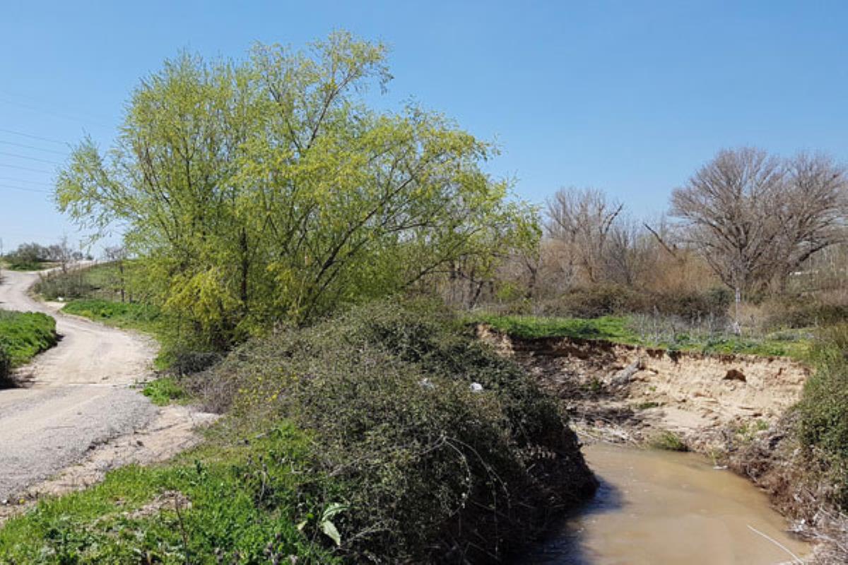 ¡Basta ya! La Plataforma Vecinal se moviliza para reclamar una solución definitiva
