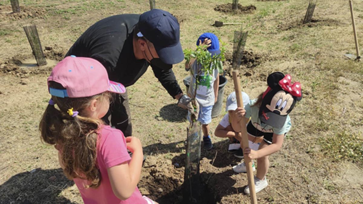 Leganés está plantando más de 700 árboles y arbustos
