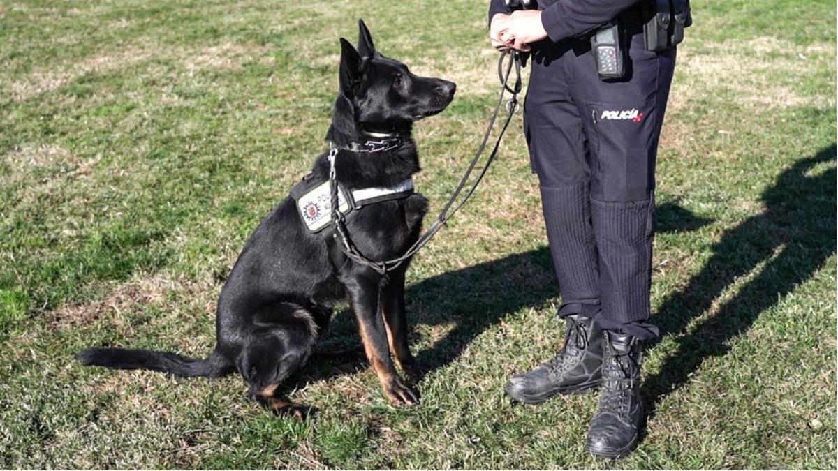 La Unidad realiza actuaciones de carácter preventivo