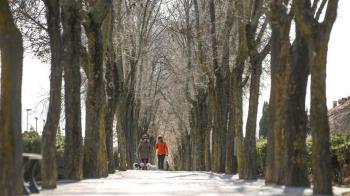 Para jóvenes, personas mayores, rentas bajas y desempleados