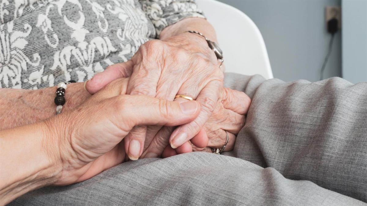 Se dirigen a familiares cuidadores, asistencia personal y servicios en centros especializados