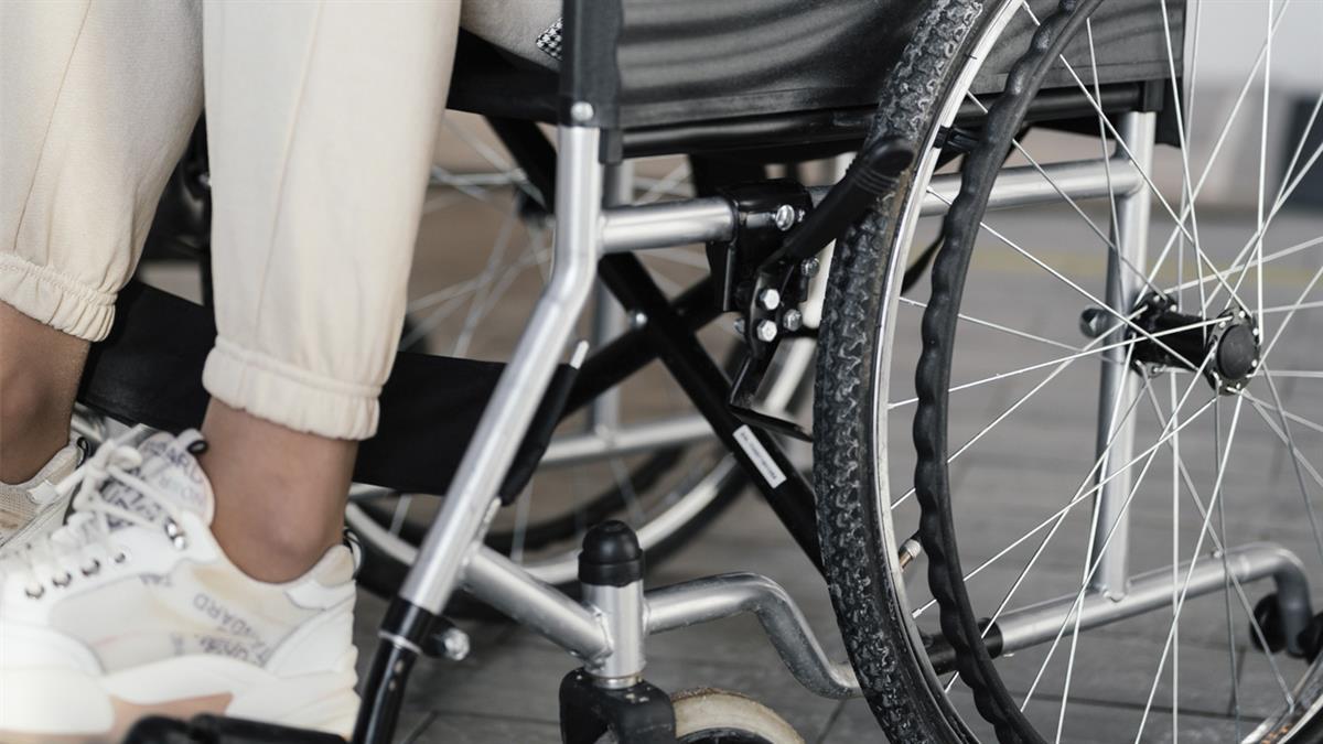 El proyecto de diversidad funcional celebra su vigésimo séptimo aniversario 