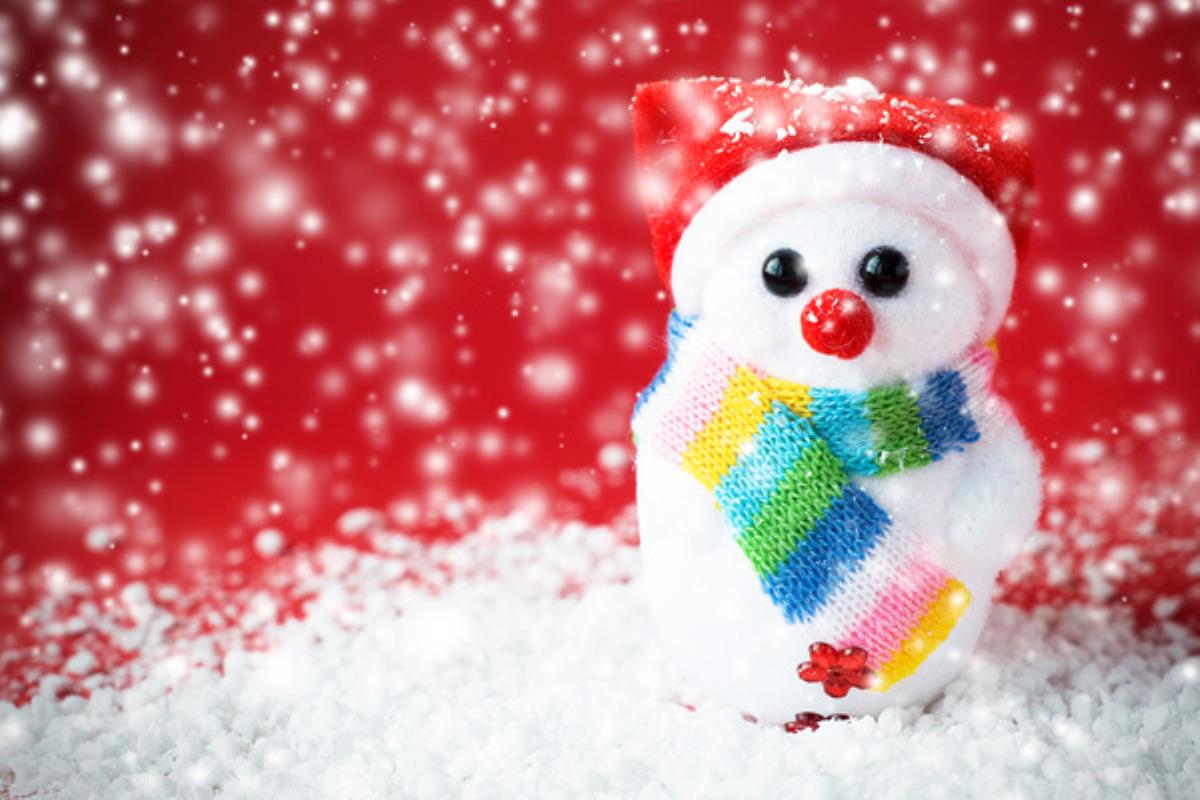 ¡Os deseamos Feliz Navidad y próspero Año Nuevo!