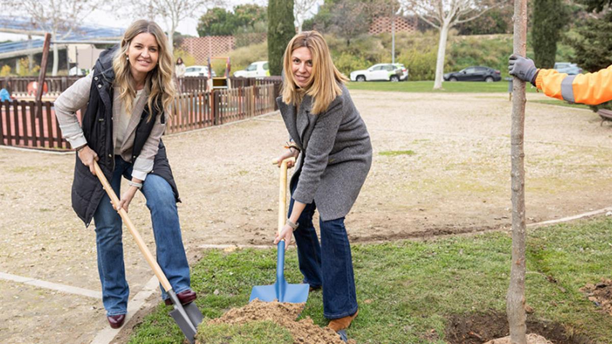 Sólo entre los meses de diciembre y enero se han plantado un total de 177 ejemplares