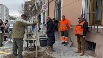 La alcaldesa anuncia el plan del Ayuntamiento para plantar 401 árboles en las calles más céntricas de Aranjuez 