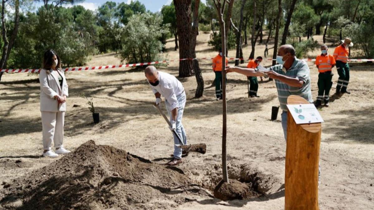 El municipio está realizando un gran esfuerzo para recuperar los ecosistemas daños por le temporal
