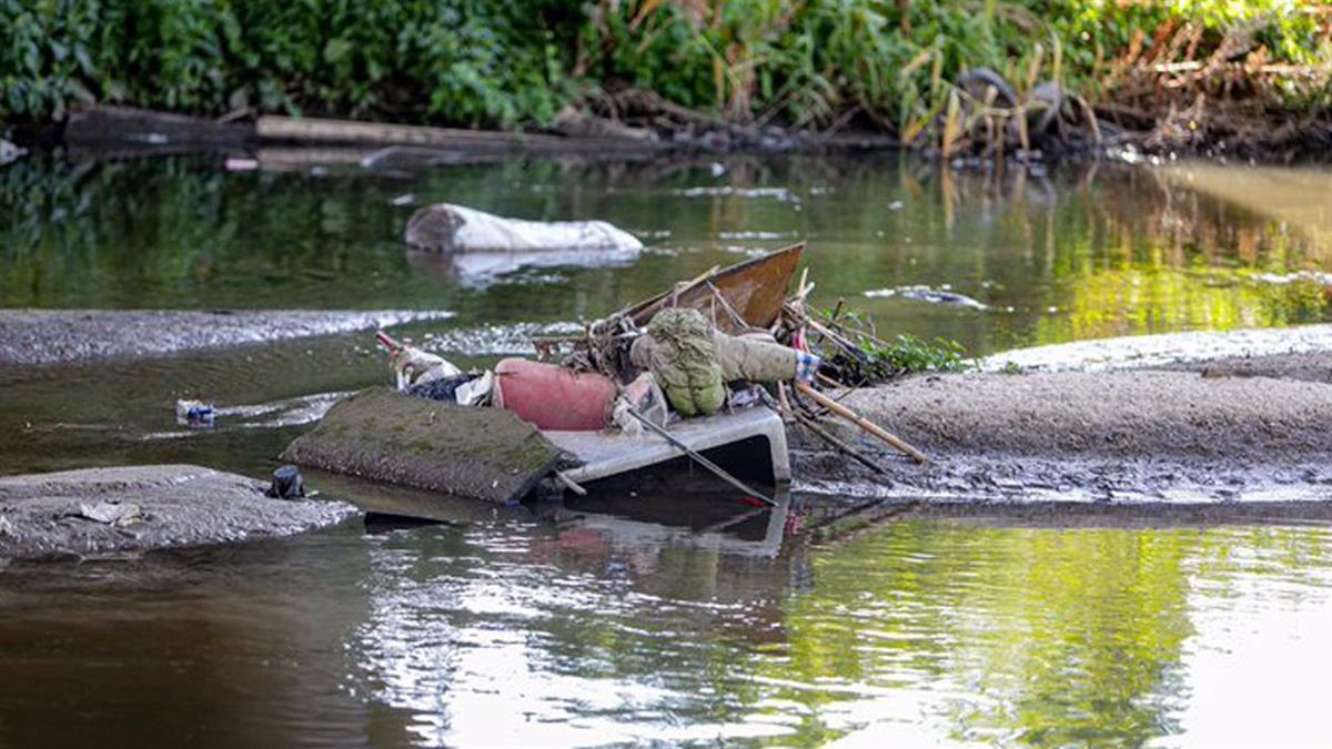 Ecologistas en Acción alertan del problema medioambiental que estos provocan