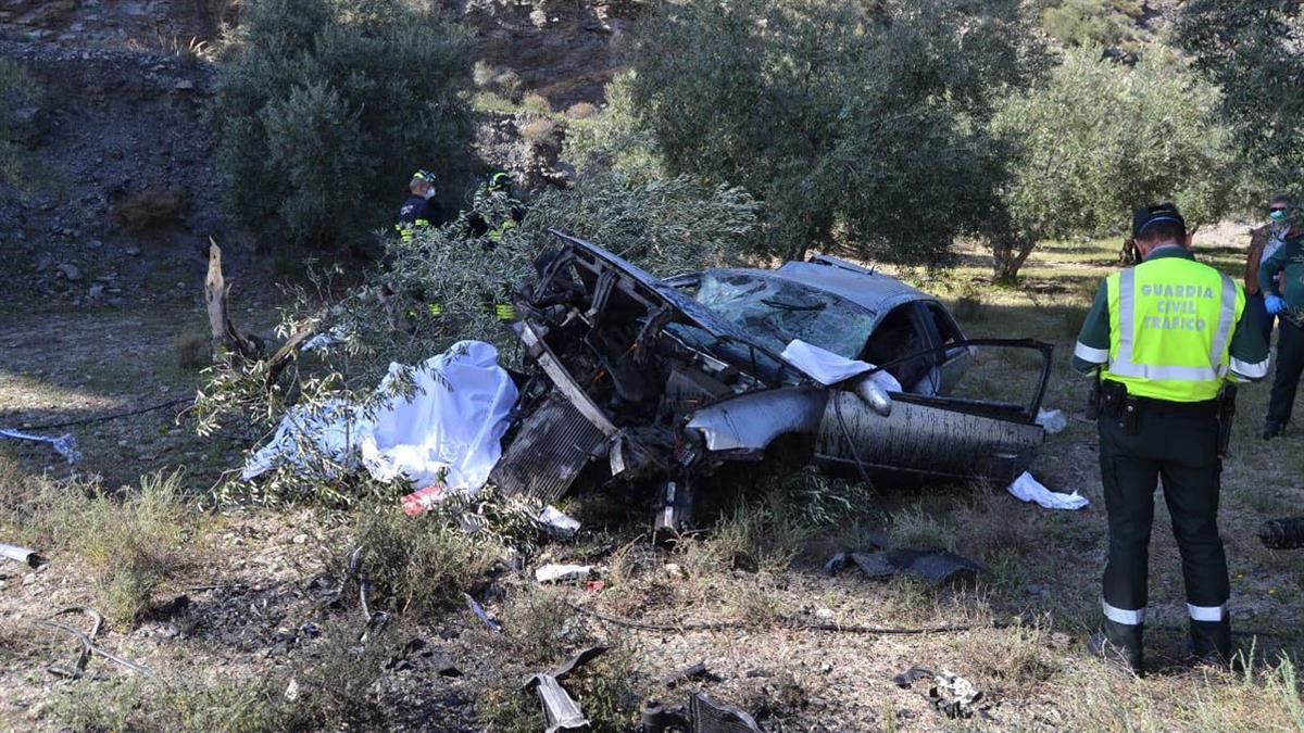 14 de las víctimas no hacían uso de los accesorios de seguridad en el momento del accidente