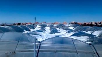 La Agrupación de Entidades Aseguradoras de Seguros Agrarios Combinados (Agroseguro) abonará la cuantía a los agricultores y ganaderos afectados