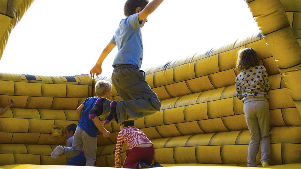 Están destinadas a alumnos entre el 2º ciclo de educación infantil hasta 6º de educación primaria