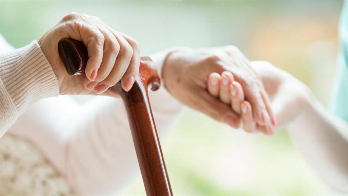 El nuevo texto sustituirá al vigente desde 2017