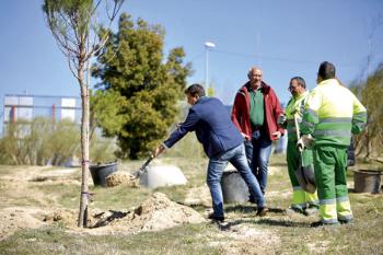 El proyecto contempla la plantación de especies autóctonas con el fin de lograr la integración paisajística