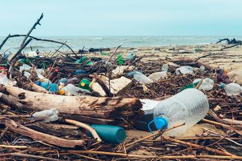 ¿Cómo podemos vivir sin plástico, o al menos, reducir su consumo?