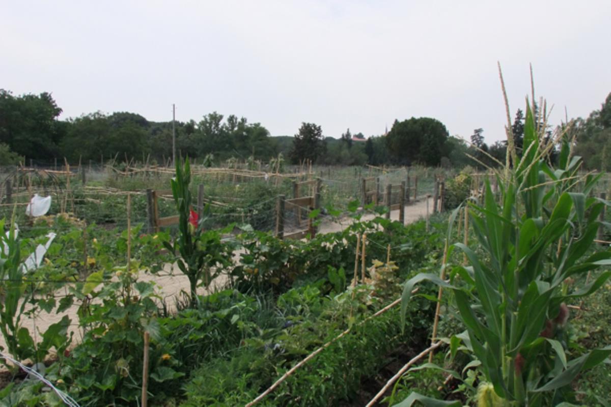 La lista permanecerá abierta hasta octubre de 2020