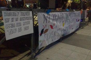 Los vecinos se quejan de la proliferación de los roedores