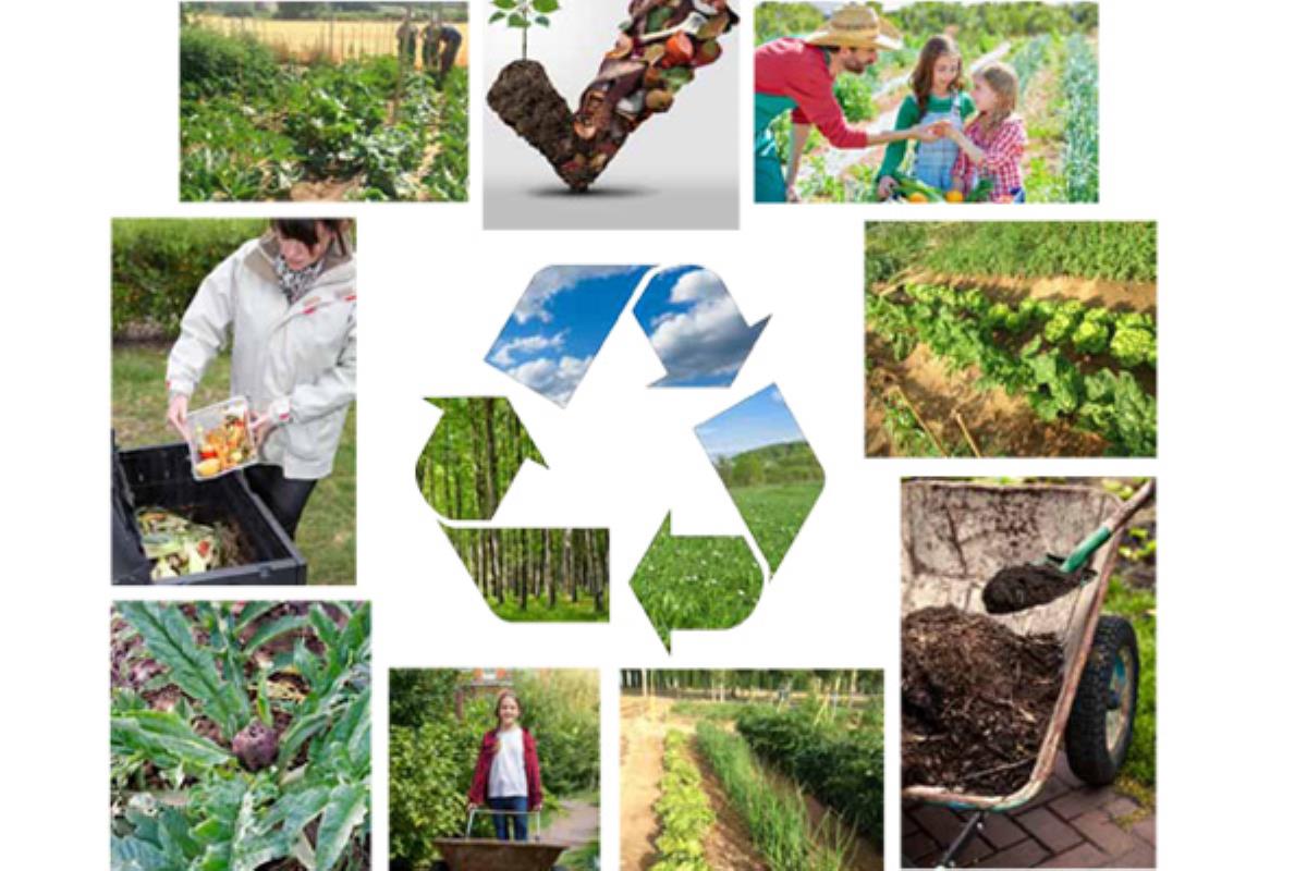 Participará la Red Terrae y el colectivo Ecologistas en Acción en Alcalá de Henares