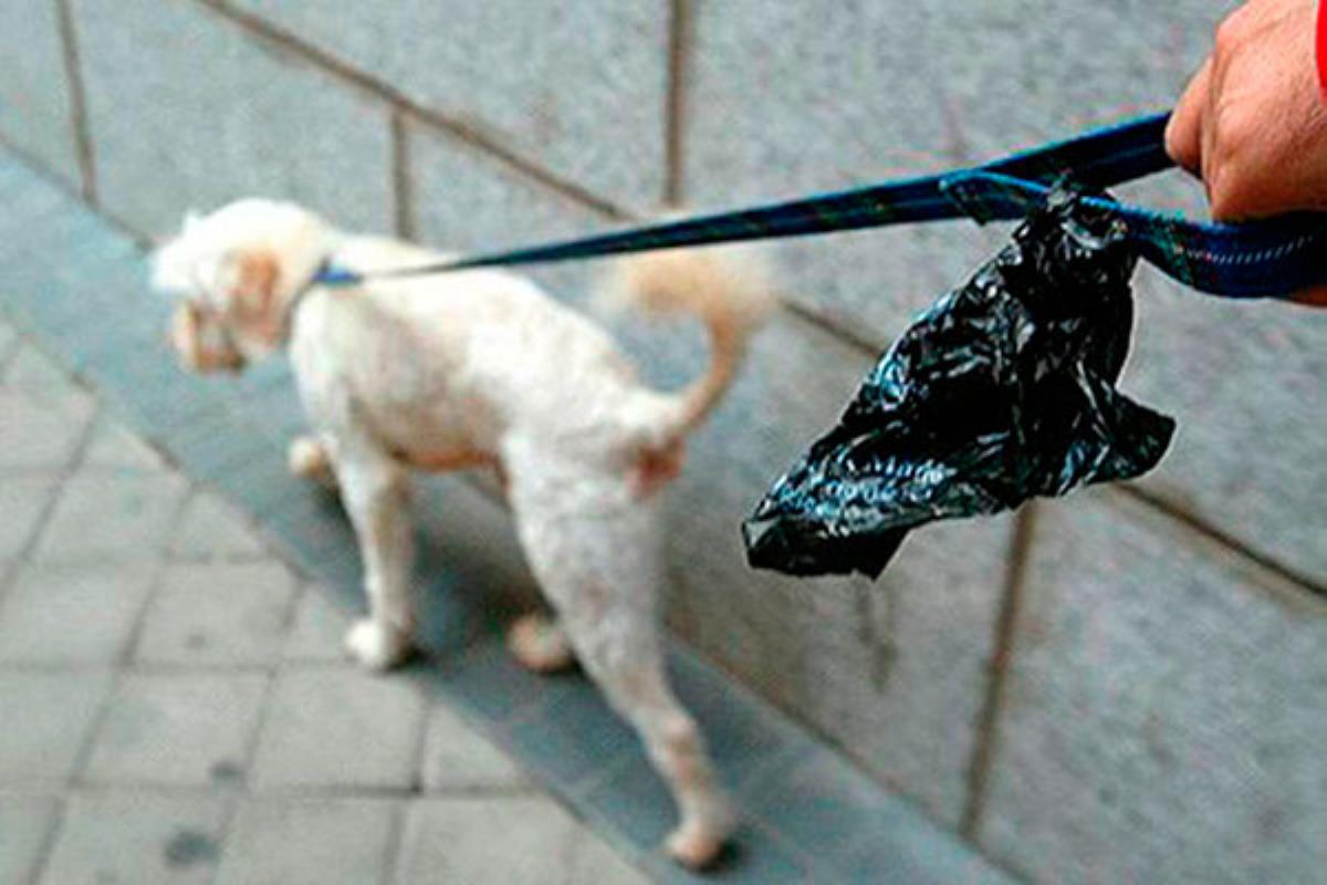 En la campaña se hace hincapié en la importancia de la colaboración ciudadana para la higiene viaria