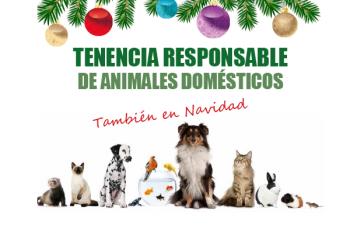 Con motivo de estas navidades, fechas en las que muchas personas piensan en regalar animales, el Ayuntamiento de Alcalá ha lanzado esta campaña informativa
