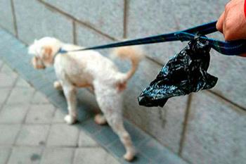 En la campaña se hace hincapié en la importancia de la colaboración ciudadana para la higiene viaria