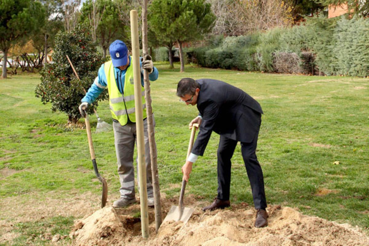 La iniciativa se engloba en la campaña ‘Un árbol por Europa’, la cual pretende fomentar la sostenibilidad a nivel local