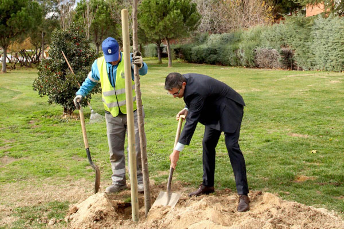 La iniciativa se engloba en la campaña ‘Un árbol por Europa’, la cual pretende fomentar la sostenibilidad a nivel local