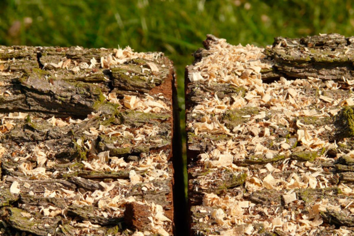 El Pleno Municipal ha aprobado por unanimidad imponer una multa de 250.000 euros a esta sociedad