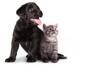 La cifra ha aumentado un 9% desde principio de año hasta el mes de julio  