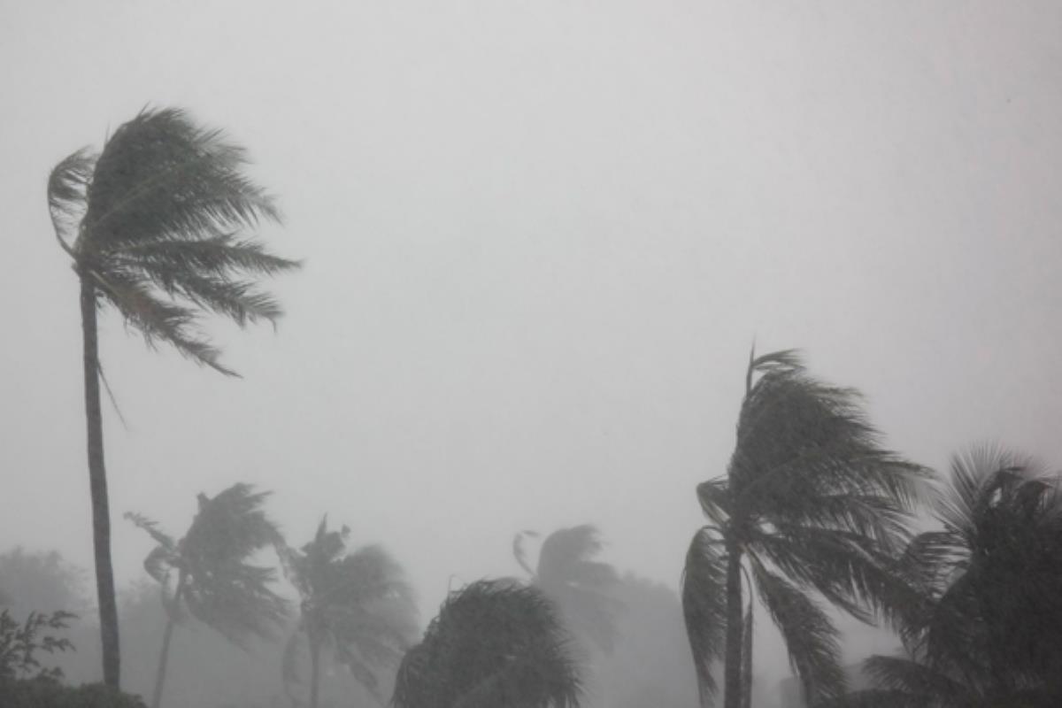 La Agencia Estatal de Meteorología ha avisado de los fuertes vientos que habrá durante todo el día en la zona