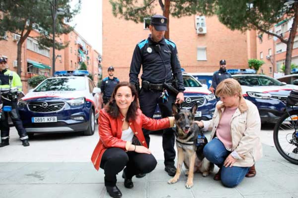 El can, un pastor belga Malinois, será adiestrado para la detección de droga en la ECIDEF
